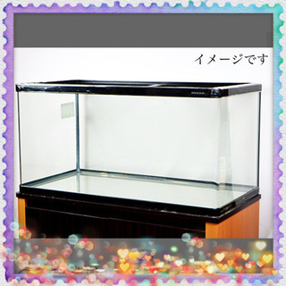 ニッソー 90センチ曲げガラス水槽フルセット NISSO スティングレー