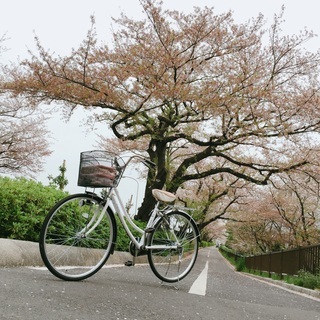 防犯登録済、自転車ママチャリ　1台