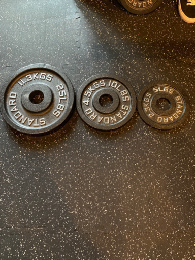 Rogue Iron Plates （プレート）トレーニングジム用品