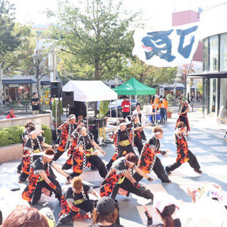 踊り子募集！！！どまつり参加チーム 頂TIP − 愛知県