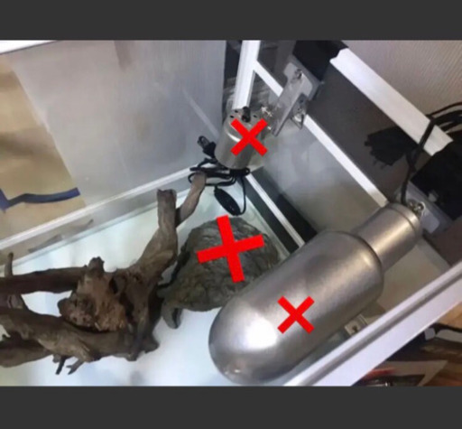 ⭐️お値引き⭐️  爬虫類 飼育セット