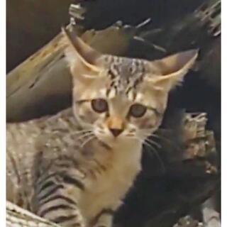 仲良し3兄妹❗️