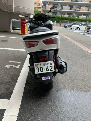 ❗️早い者勝ち❗️フォルツァis❗️