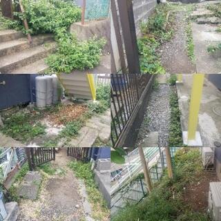 草刈り  庭木の伐採　 相模原市　町田市　八王子市　横浜市☎️0120-923-969の画像