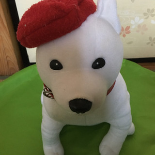 ソフトバンク お父さん犬