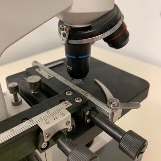 ★無料★顕微鏡★microscope★マイクロスコープ★自由研究の画像