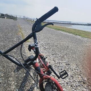 スケートボードとBMX仲間を募集します！