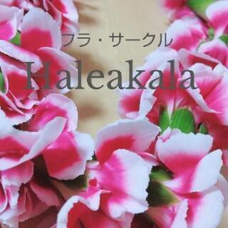 フラ・カヒコ〜古典フラ〜生徒さん募集の画像