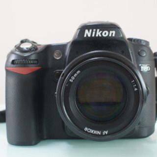 一眼レフ: Nikon d80+ AF nikkor 50mm F1.4: 綺麗にボケます。