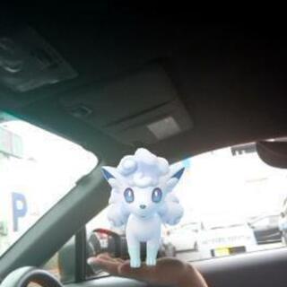 ポケモンGOを一緒にする友達探してます！ - 高崎市