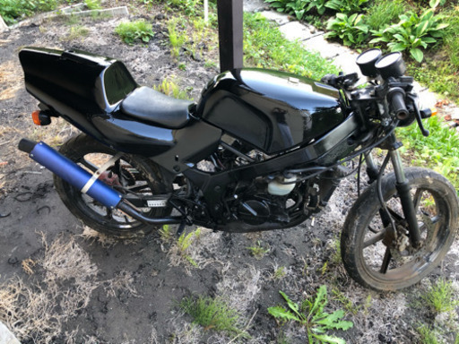 NS1 格安 レストアベース