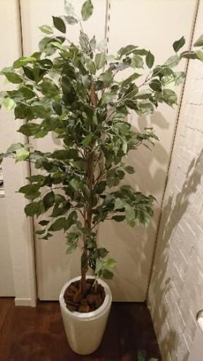 交渉中。イミテーショングリーン