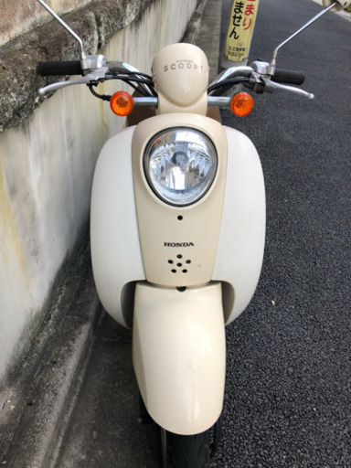 杉並区発！引取り限定。ホンダ スクーピー