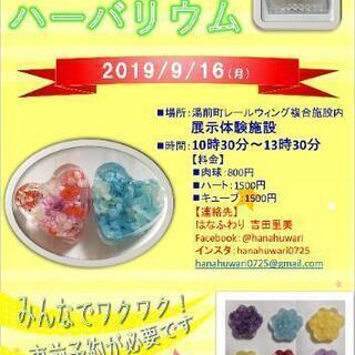 固まるハーバリウム