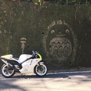ツーリング友達探しています！