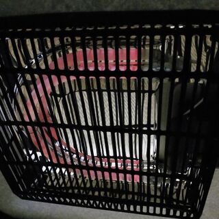 こたつの画像