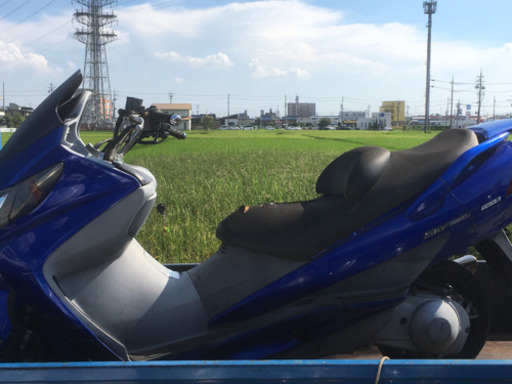 スカブ タイプs