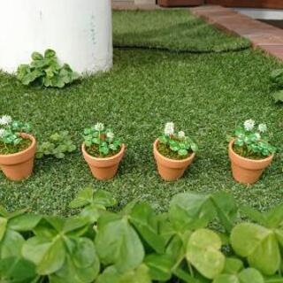 樹脂粘土でシロツメクサ🍀またはモッコウバラ🌹を作りましょう🎵
