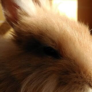 転勤のため