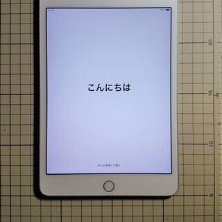 APPLE iPadmini4 64GB WiFi+Cellul...