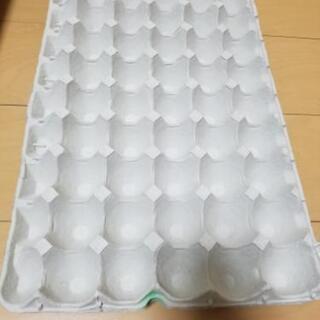 モールド　合計15枚の画像