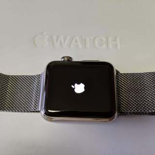 Apple Watch ステンレススチール Milanese Loop