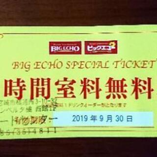 ビッグエコー 1時間室料 無料券