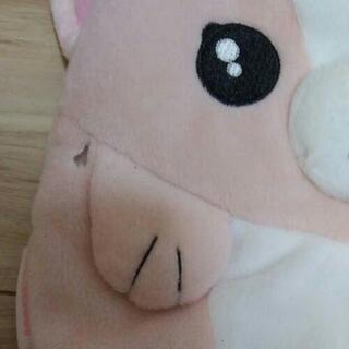 湯タンポの画像