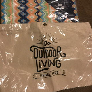 レジャーシートとバック