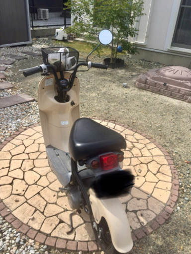 スズキ チョイノリ（再出品）