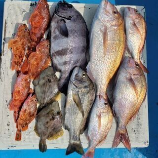 釣り仲間募集！ - メンバー募集