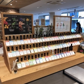 🌸メディカルアロマ☘好き必見❣️ドテラ社本社を一緒にみにいきませ...