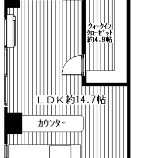 【カナルハイツ 部屋番号：501】街中の分譲マンション♪初期費用お安いです！室内はオシャレなデザインでとても綺麗になっております。 フリーレント１ヶ月！眺望良好で日当たりも良くおススメの物件です。 - 高崎市