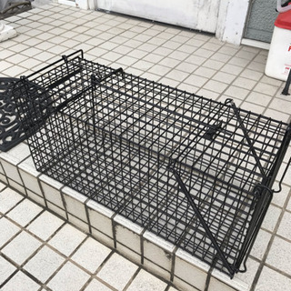 ネコ ねこ 猫  たぬき 小動物 害獣 捕獲器 アニマルキャッチャー レンタルの画像