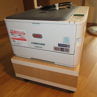OKI C301dn