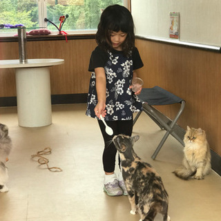 9/22 福島市内 イベントスタッフ募集 日給1万円の画像