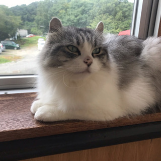 9/22 福島市内 イベントスタッフ募集 日給1万円の画像