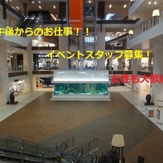 【急募】9/14★イベントスタッフ募集中