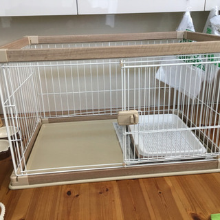犬 サークル