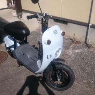 チョイノリ 50cc  交渉中