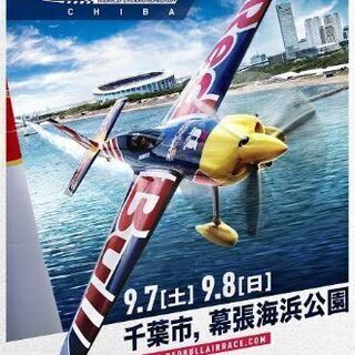 Red Bull Air Raceチケット（9月7日）単日一般