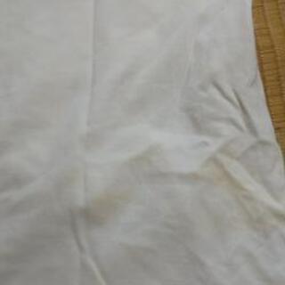(値下げ)レディースMの夏服の画像