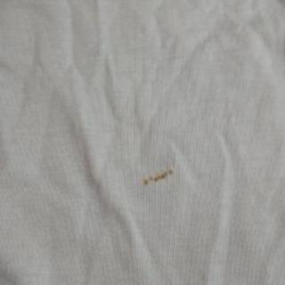 (値下げ)レディースM夏服の画像