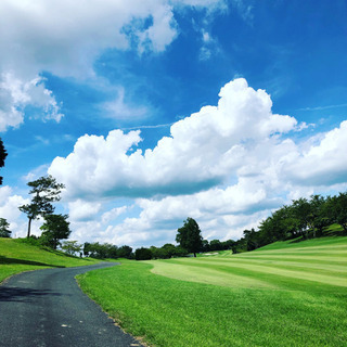◉ゴルフ仲間募集⛳️