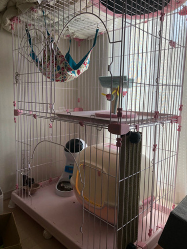 ペットゲージ2段&子猫用品セット★