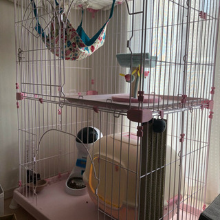 ペットゲージ2段&子猫用品セット★