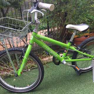 スギゴケの種(100L）