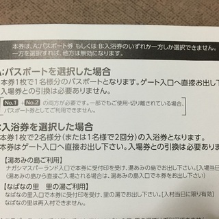 ナガシマスパーランド  パスポート２名様分の画像