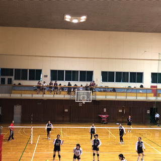 社会人6人制女子バレーボール