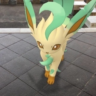 ポケモンGO滋賀県甲賀市レイドバトル